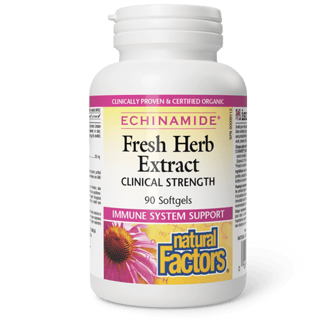 Nfact Echinamide 500Mg 90Caps
