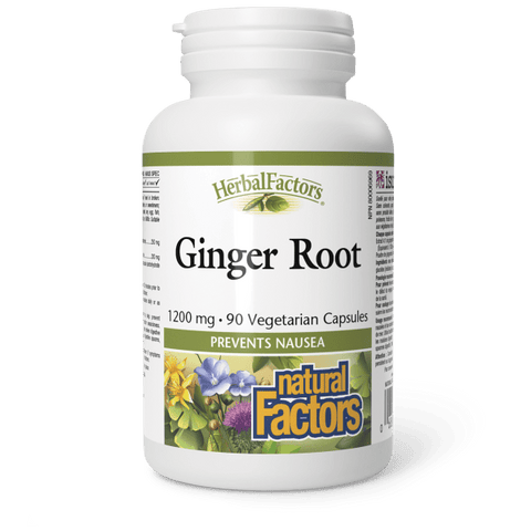 Nfact Ginger Root 4 % Oil 90 C