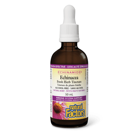 Natural Factors Echinacea Alcohol Free Tincture 50 mL