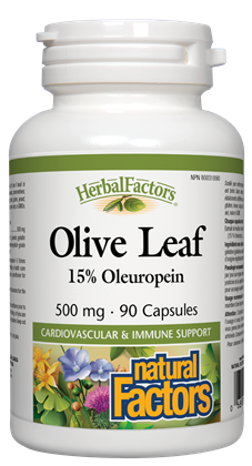 Natural Factors Olive Leaf 500Mg 90 Caps
