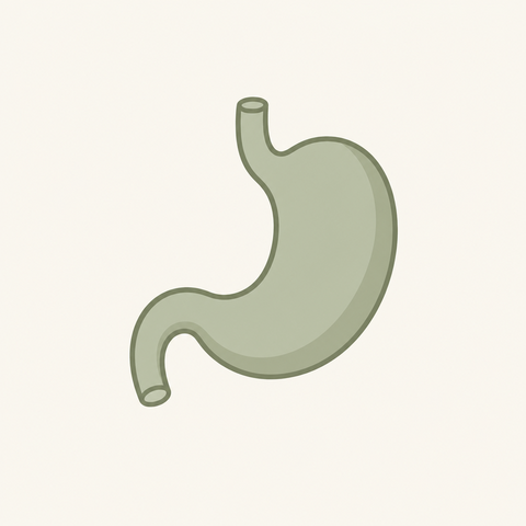 Gut Health