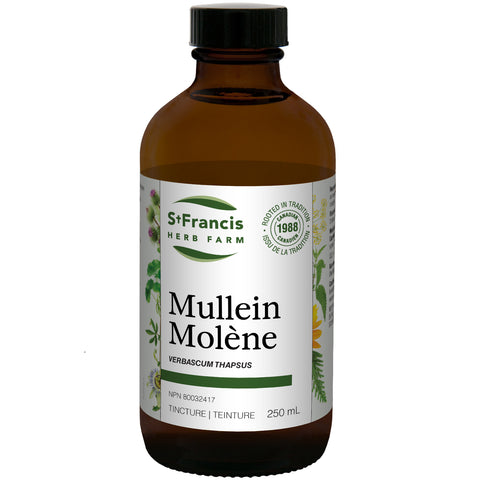 St. Fran Mullein